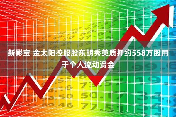 新影宝 金太阳控股股东胡秀英质押约558万股用于个人流动资金