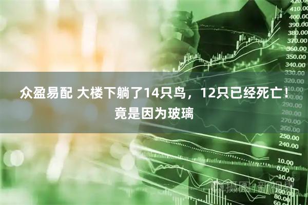 众盈易配 大楼下躺了14只鸟，12只已经死亡！竟是因为玻璃