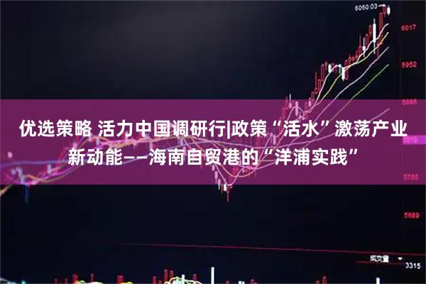 优选策略 活力中国调研行|政策“活水”激荡产业新动能——海南自贸港的“洋浦实践”