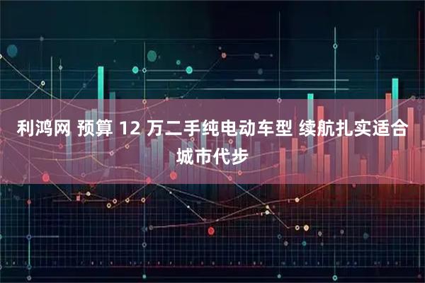 利鸿网 预算 12 万二手纯电动车型 续航扎实适合城市代步