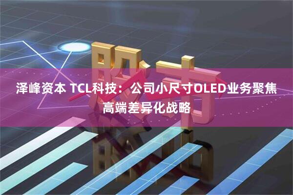 泽峰资本 TCL科技：公司小尺寸OLED业务聚焦高端差异化战略